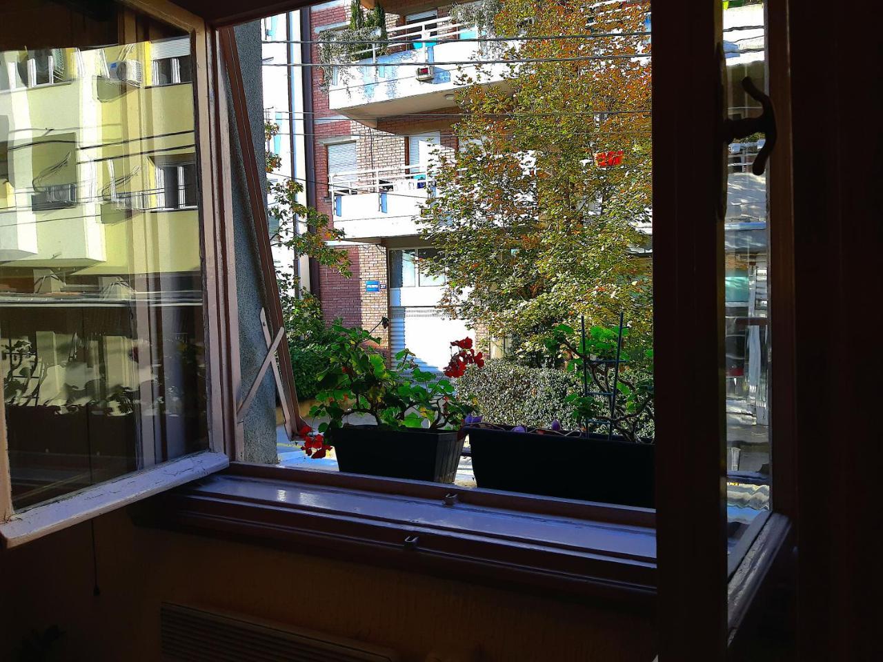 Jelena Apartment Belgrado Buitenkant foto