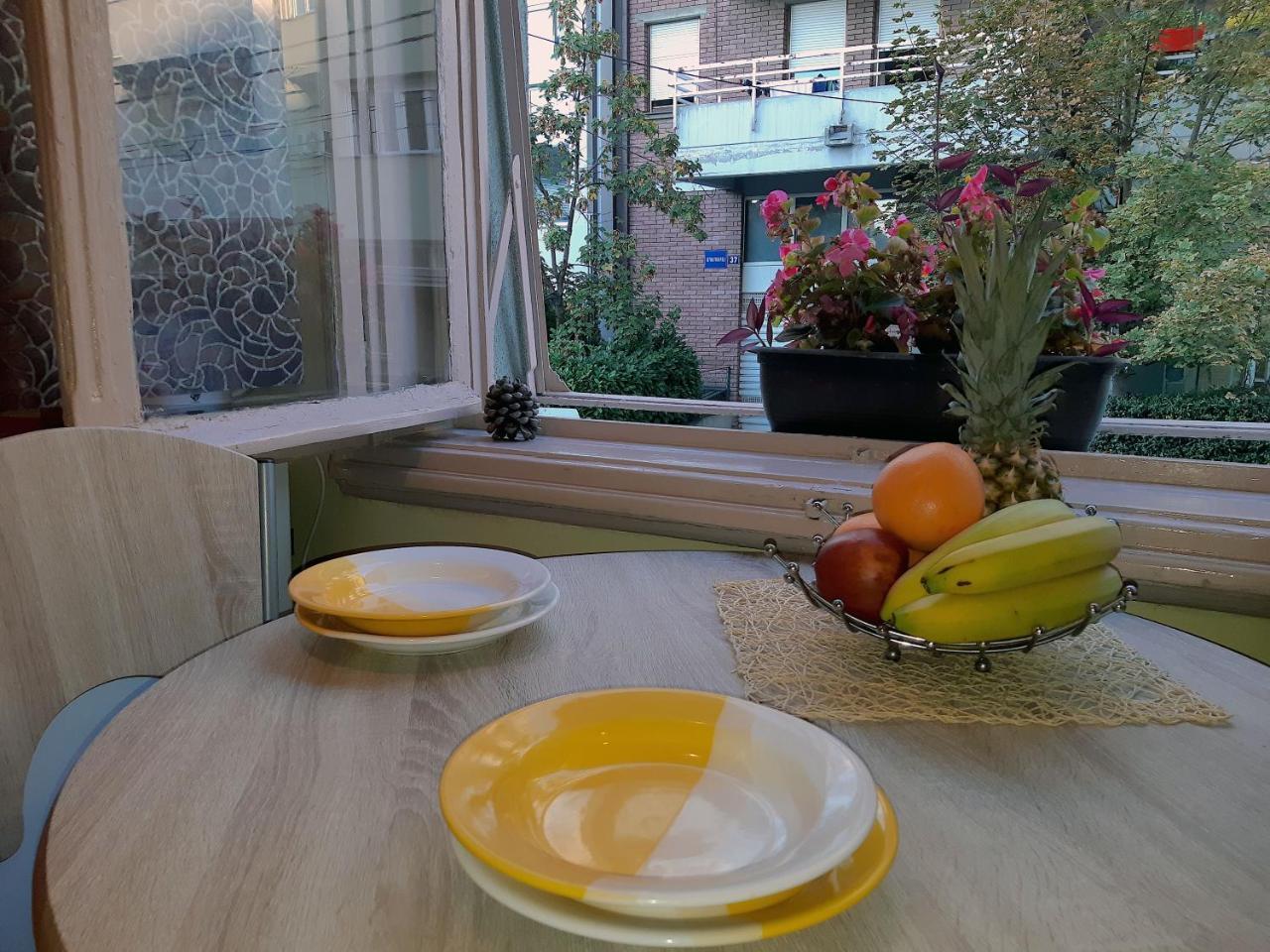 Jelena Apartment Belgrado Buitenkant foto